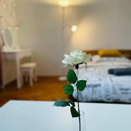 Lovely 2bdr In Center, Wifi & Self-check In * Bratislava