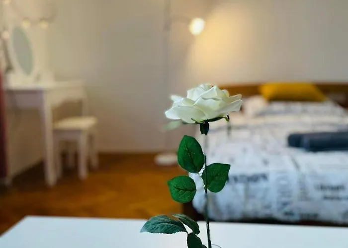 Lovely 2bdr In Center, Wifi & Self-check In * Pozsony